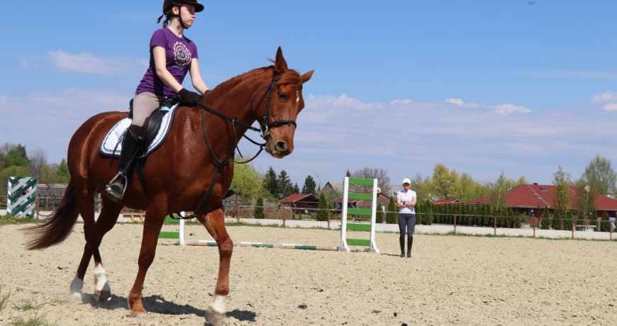 Teaching horseback riding