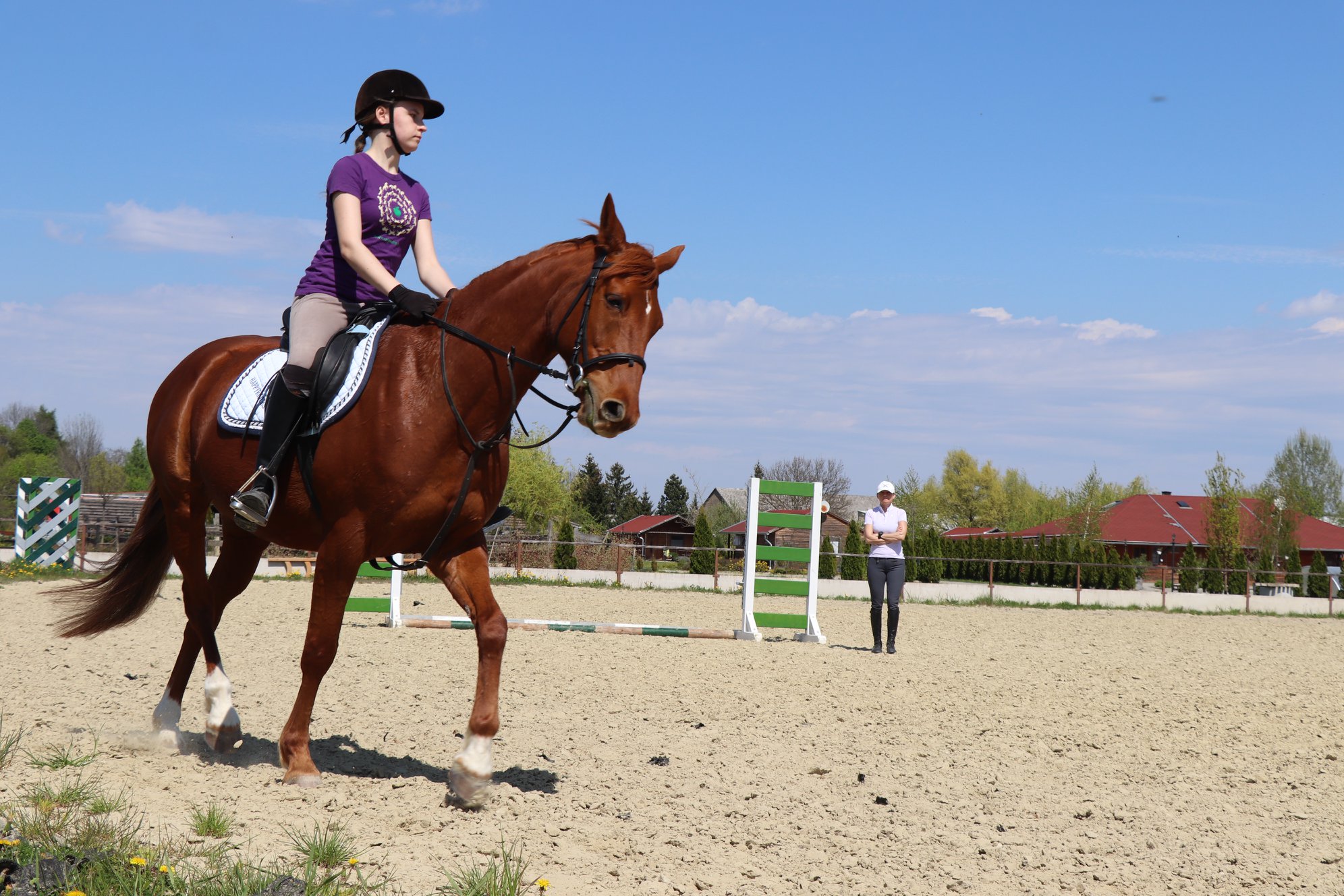 How to Choose a Riding School? Part 2: Personality and Attitude of the Riding Instructor