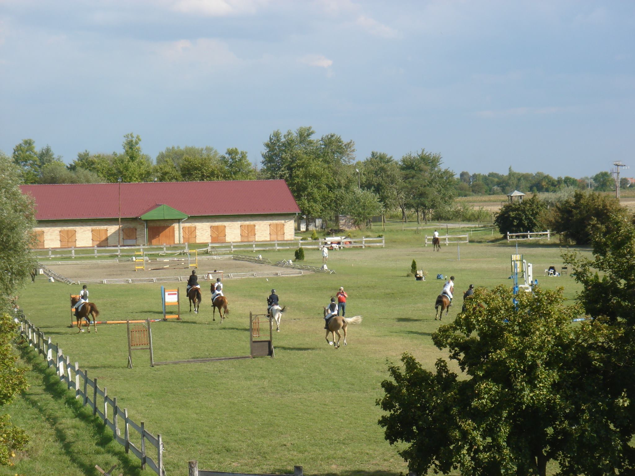 How to Choose a Riding School? Part 1: School Horses and Facilities