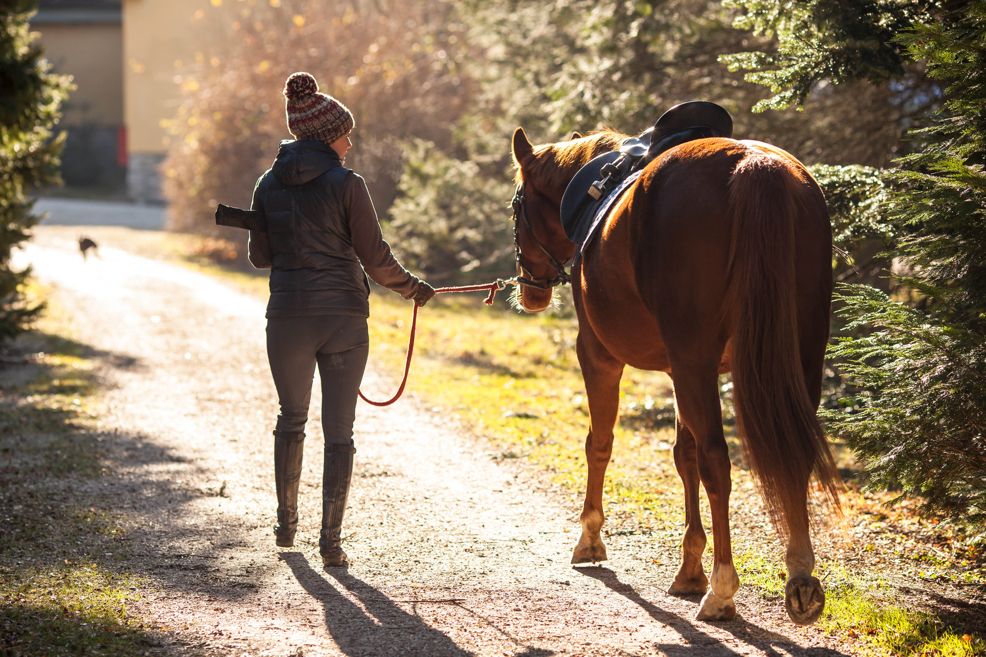 How to Choose a Riding School? Part 3: Stable Management and Lesson Schedule
